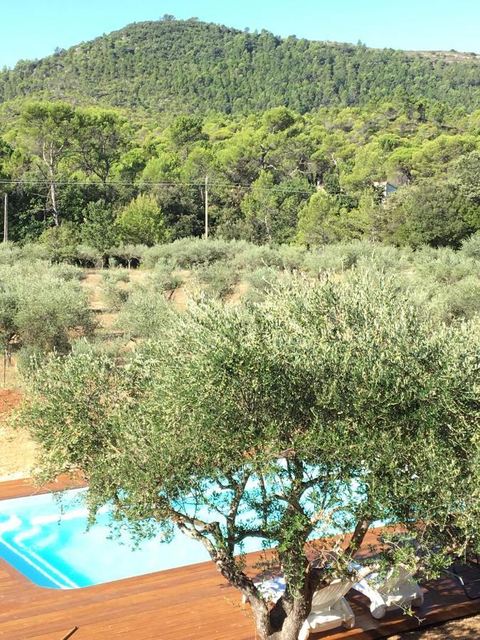 La Villa Aux Oliviers Le Val エクステリア 写真